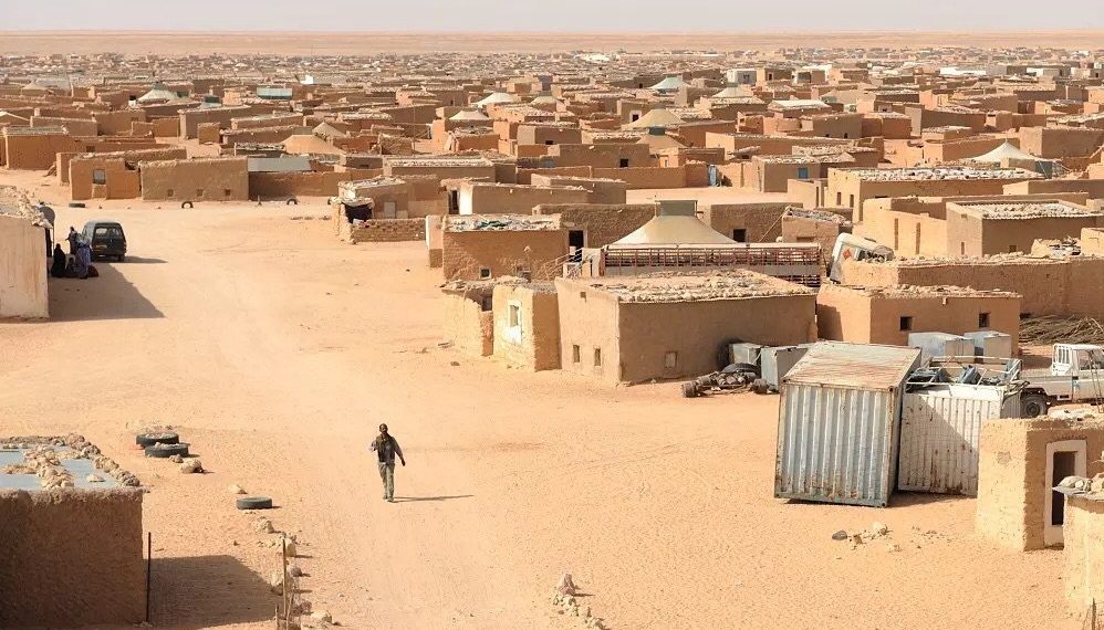 الخبير الفرنسي جيروم بينارد: البوليساريو منظمة إجرامية وخطيرة على الأمن الإقليمي