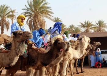 دور الرحل في الدفاع عن استقلال المغرب وصون وحدته الترابية
