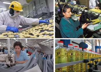 إحداث 823 مقاولة خلال 2023 بجهة كلميم وادنون