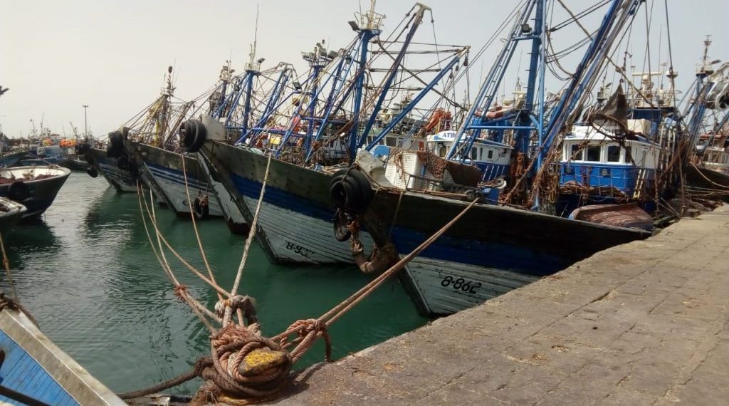 Port de Dakhla: Hausse de 20% des débarquements de la pêche à fin juillet 2024 (ONP)