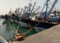 Port de Dakhla: Hausse de 20% des débarquements de la pêche à fin juillet 2024 (ONP)