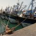 Port de Dakhla: Hausse de 20% des débarquements de la pêche à fin juillet 2024 (ONP)