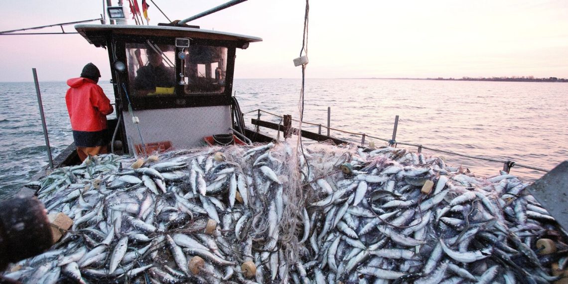Port de Dakhla: