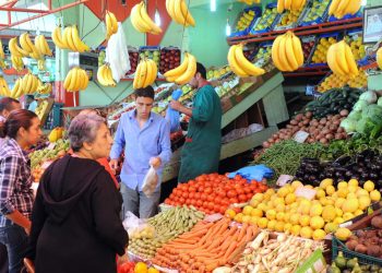 Dakhla-Oued Eddahab: