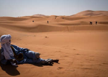 الحياة في الصحراء