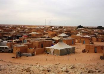 Camps de Tindouf