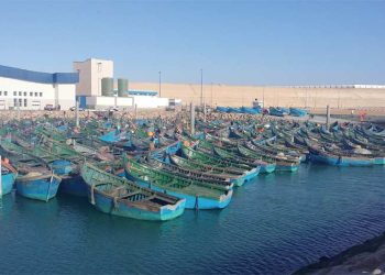 الصيد البحري ببوجدور.. دينامية متواصلة وتنوع في الموارد السمكية