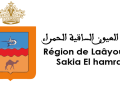 العيون-الساقية الحمراء