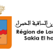 العيون-الساقية الحمراء